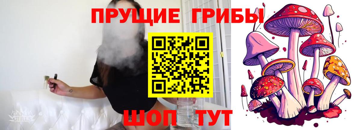 Вольск  Псилоцибиновые грибы MAGIC MUSHROOMS  Галлюциногенные грибы MAGIC MUSHROOMS  Вход с VPN 